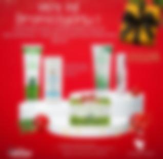 YENİ YIL ÖZEL PROMOSYON SETİ-1