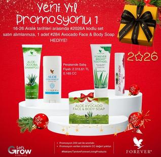 YENİ YIL ÖZEL PROMOSYON SETİ-1