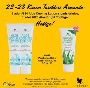 Aloe Cooling Lotion